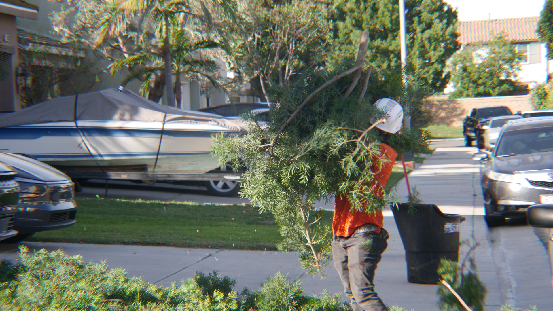 Your landscape, always